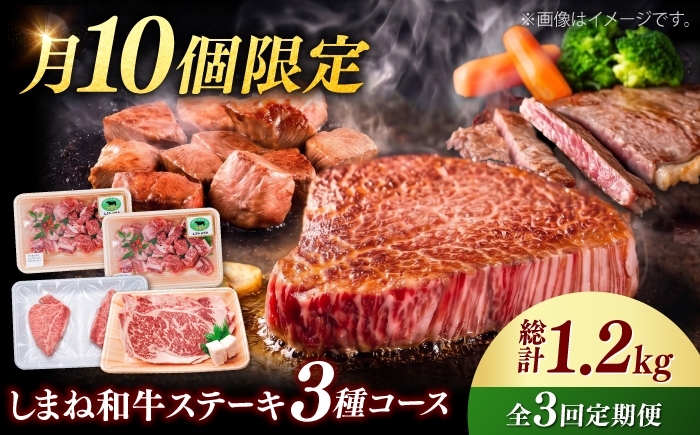 牛肉 定期便 シャトーブリアン サイコロステーキ サーロインステーキ