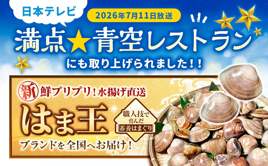 桑名はまぐり屋 蓄養はまぐり 3年～6年もの 2kg