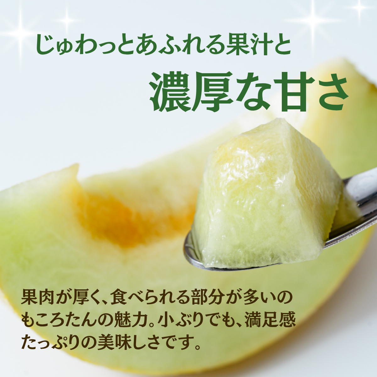 メロン ころたん めろん コロタン フルーツ 2玉 果物