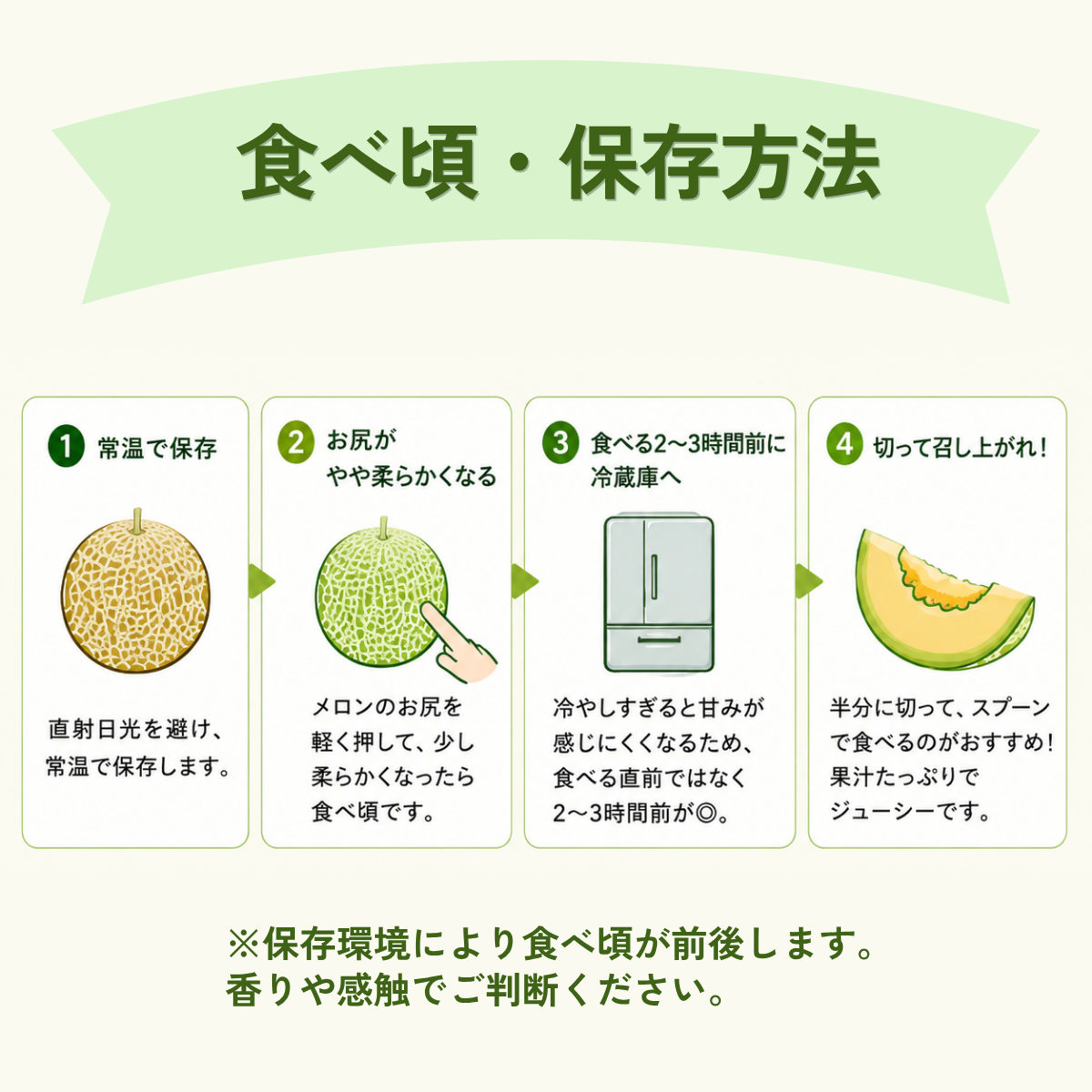 メロン ころたん めろん コロタン フルーツ 2玉 果物