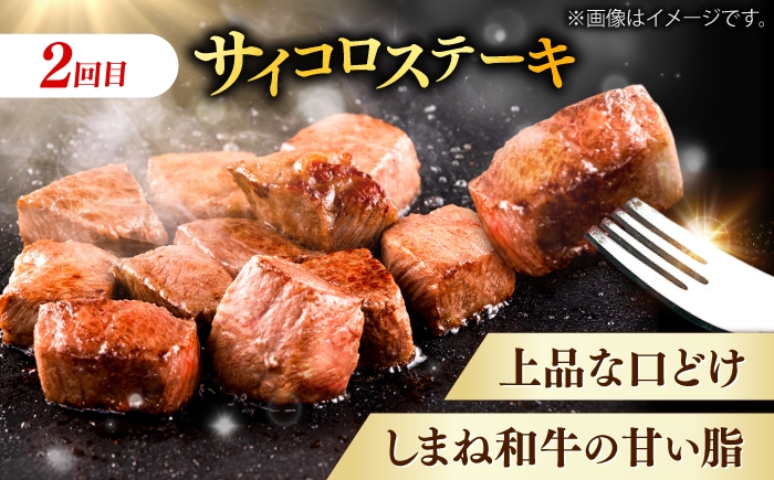 牛肉 定期便 シャトーブリアン サイコロステーキ サーロインステーキ