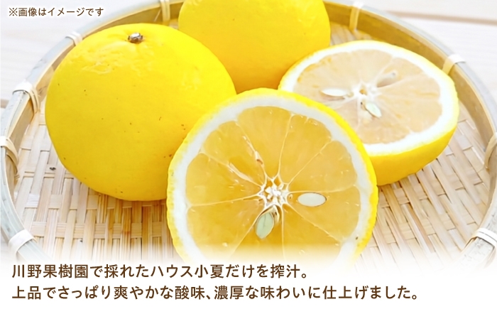ジュース 果物 フルーツ フルーツジュース お取り寄せ ドリンク