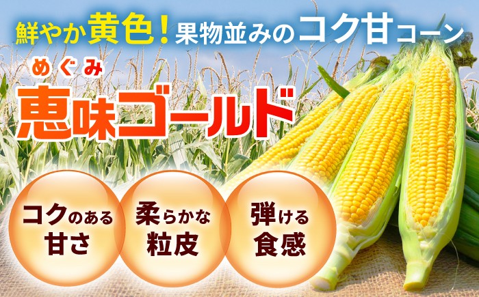 口いっぱいに広がる濃厚な甘さ！強い甘みが自慢の恵味ゴールド！
