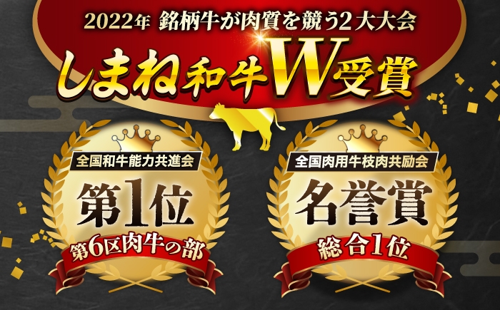 牛肉 定期便 シャトーブリアン サイコロステーキ サーロインステーキ