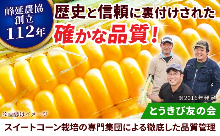 口いっぱいに広がる濃厚な甘さ！強い甘みが自慢の恵味ゴールド！