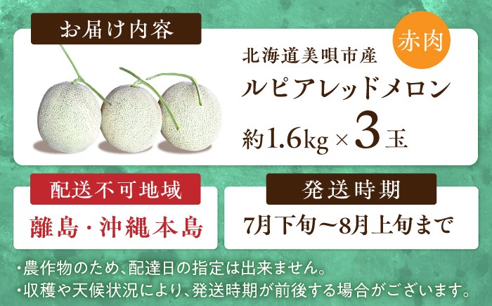 赤肉メロン めろん 先行予約 北海道 メロン赤肉 ルピアレッド 果物 