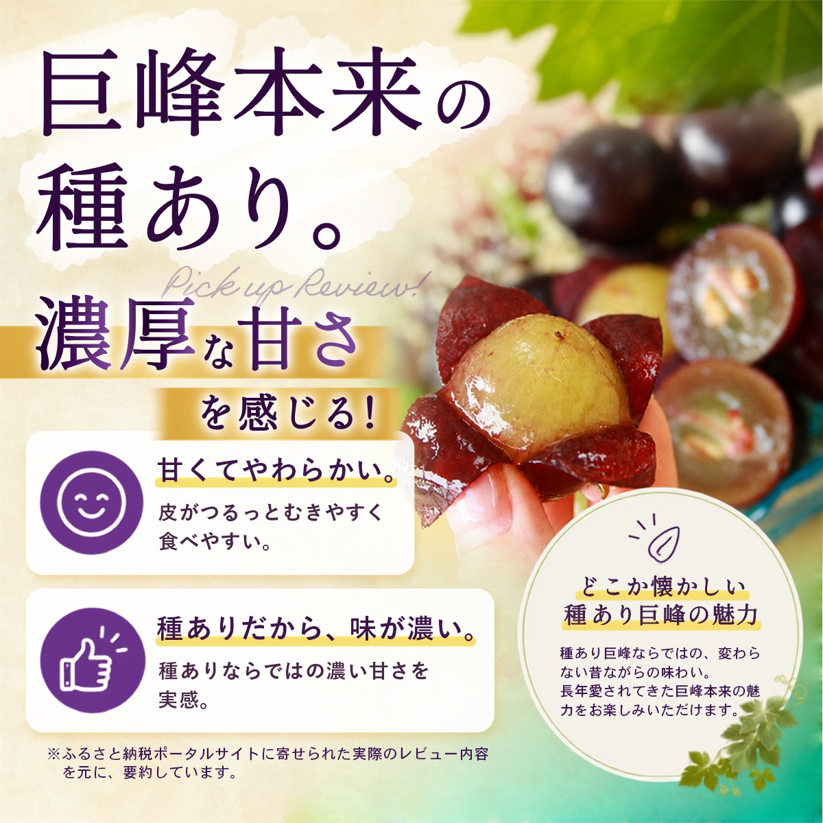 巨峰本来の種あり巨峰の魅力を紹介する画像。甘くてやわらかく皮がつるっとむきやすい。種ありだから味が濃く昔ながらの濃厚な甘さを実感