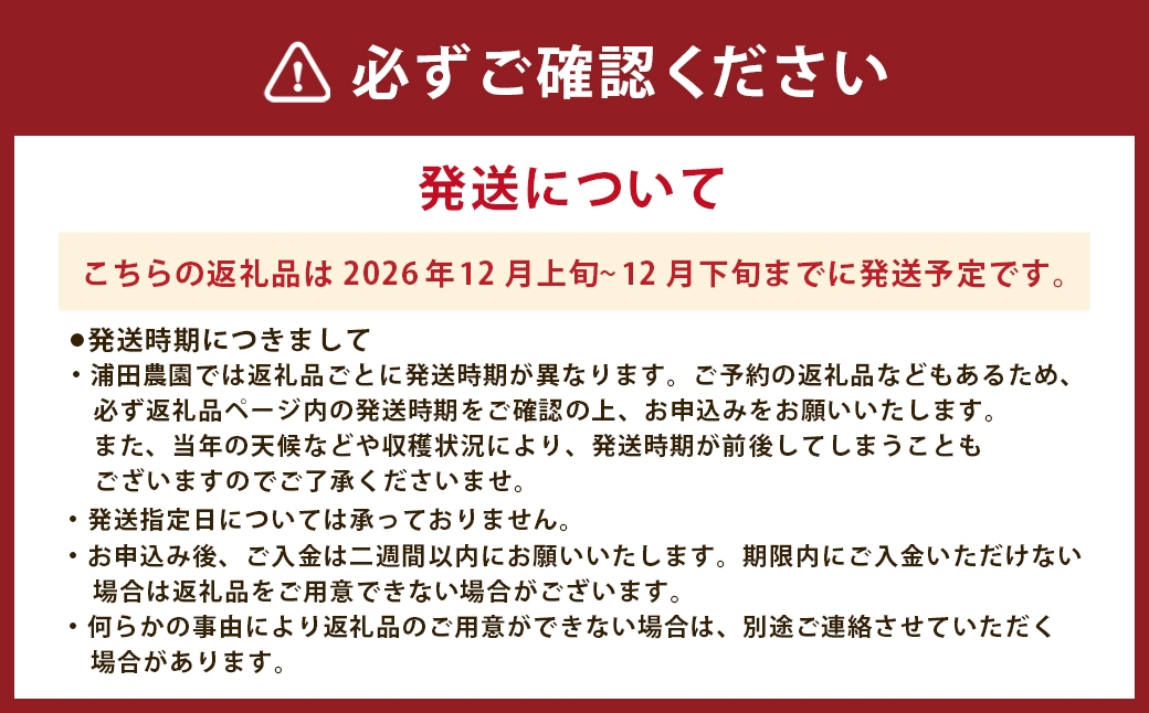 Noelメロン1玉入り
