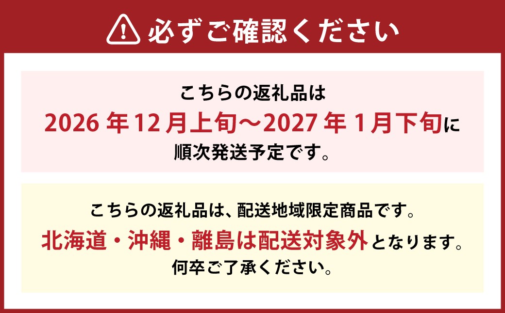 博多あまおう（冬） 2パック