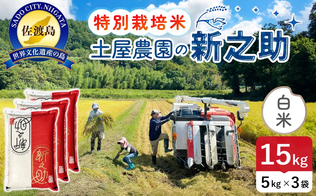 佐渡島産新之助 白米15kg（5kg×3袋） 土屋農園 特別栽培米 令和7年産【食の宝島佐渡】