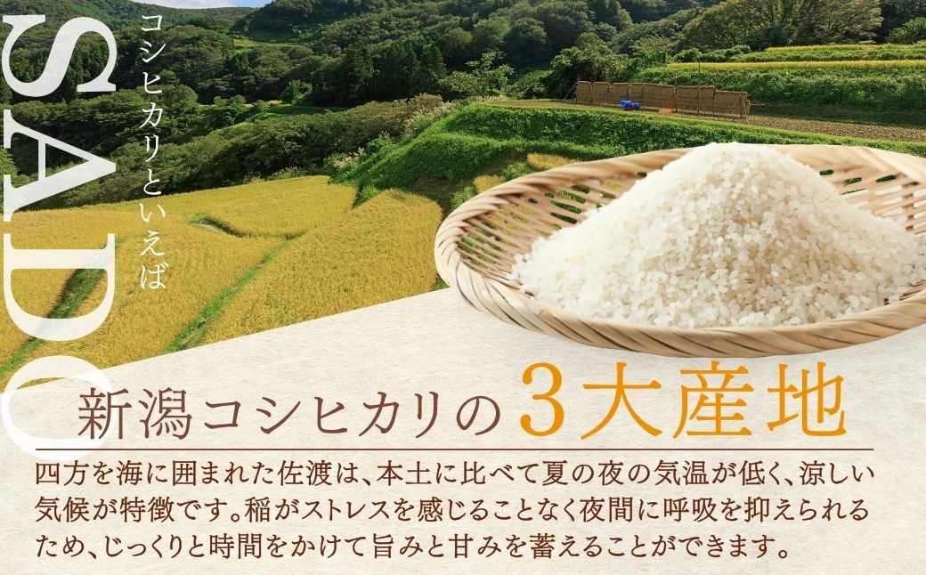 さっぱりした歯ごたえの中に、粘りが残る