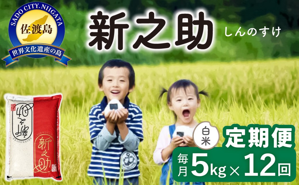 【令和8年産新米 12ヶ月】佐渡島産 新之助 白米 5kg