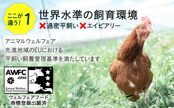 定期便 12回 たまご 卵 玉子 鶏卵 生卵 平飼い 有精卵 定期便 6か月 北海道