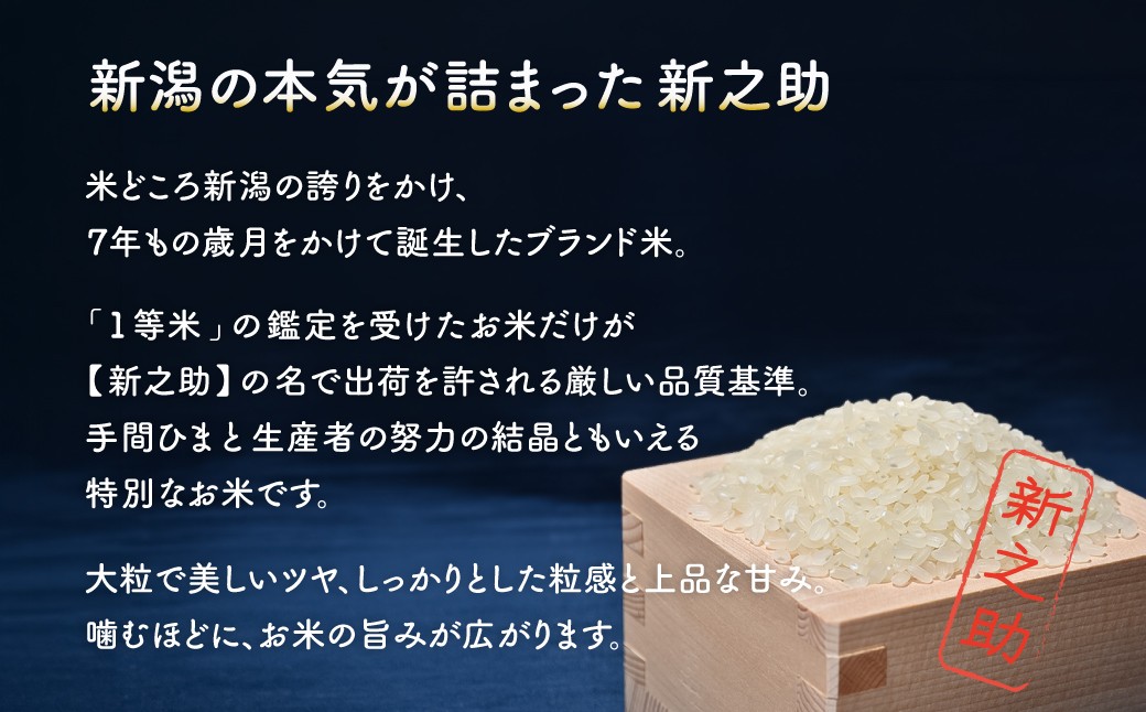【令和8年産新米 6ヶ月】佐渡島産 新之助 白米 10kg