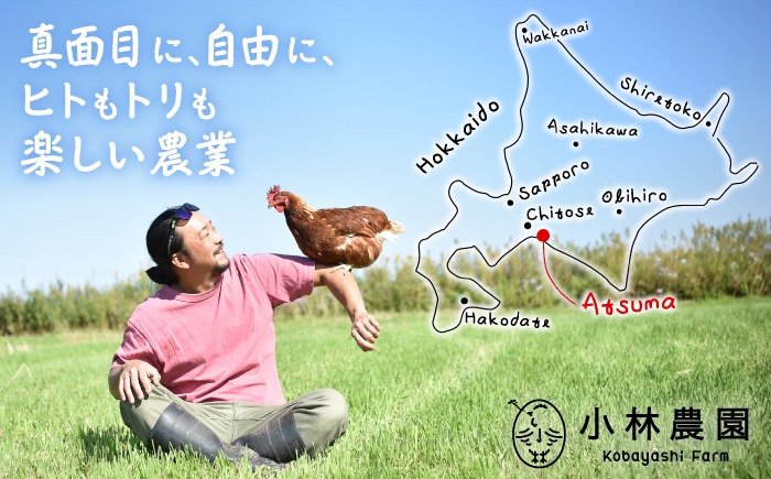 たまご 卵 鶏卵 玉子 生卵 平飼い 北海道 定期便