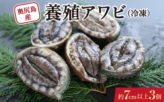 奥尻島産 冷凍 養殖アワビ (3個入り) 1個 約70mm | あわび グルメ お取り寄せ | 北海道 奥尻町 送料無料