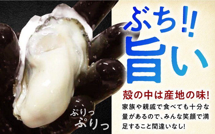 牡蠣貝 殻付き かき貝 カキ貝 冷凍 広島牡蠣貝 オイスター kaki 広島県産