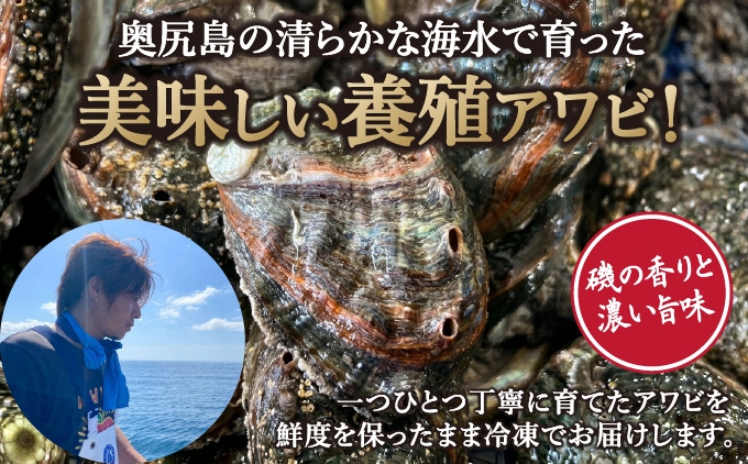 奥尻島産 冷凍 養殖アワビ (2個入り) 1個 約75mm | あわび グルメ お取り寄せ | 北海道 奥尻町 送料無料