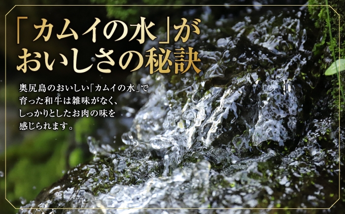 【希少!!黒毛和牛】おくしり和牛 ももステーキ 選べる容量 100g×3枚・100g×6枚 | 北海道 奥尻町 ふるさと納税