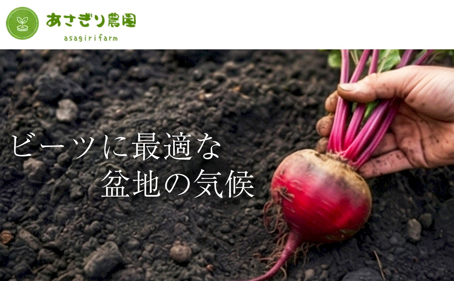 自社農園栽培 プレミアム生ビーツ3kg