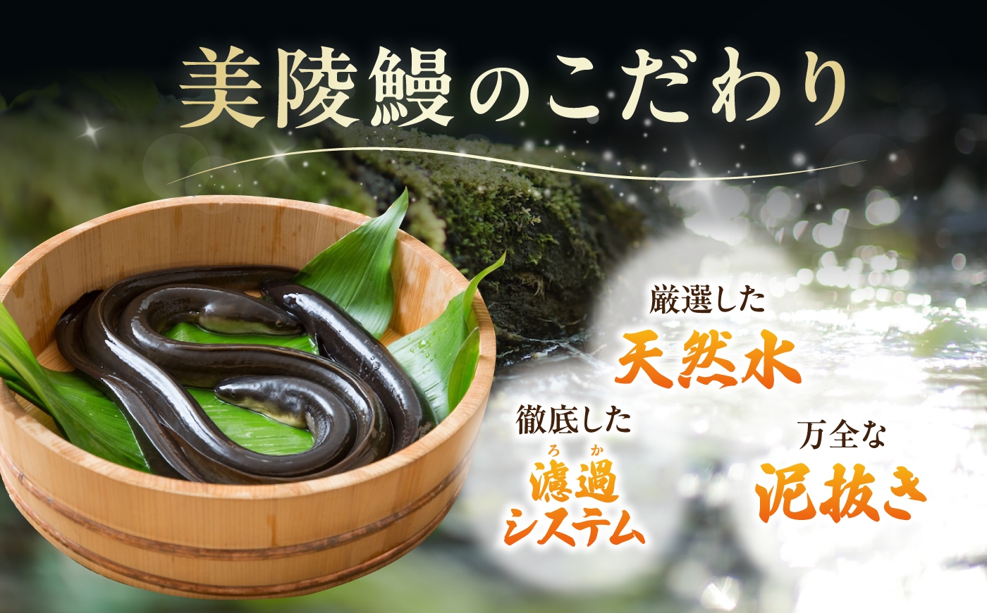 鰻 うなぎ ウナギ 蒲焼 蒲焼き かば焼き 国産 ギフト 冷凍 土用の丑の日