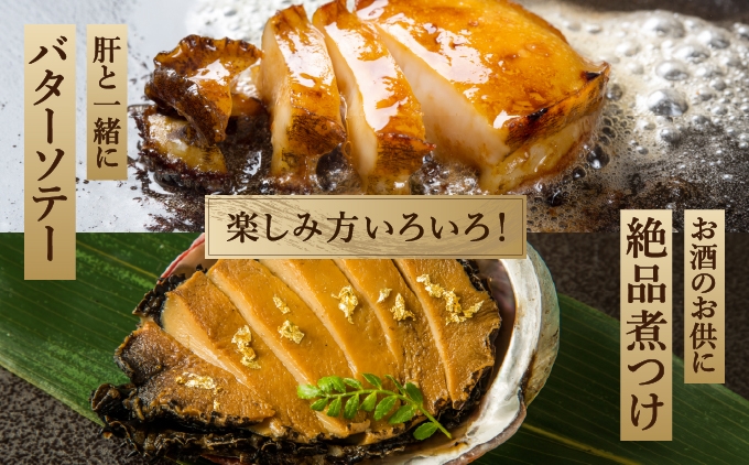 奥尻島産 活蝦夷アワビ（養殖）20ケ入り 75mm以上 | 鮑 あわび アワビ 蝦夷あわび | 北海道 奥尻町 ふるさと納税