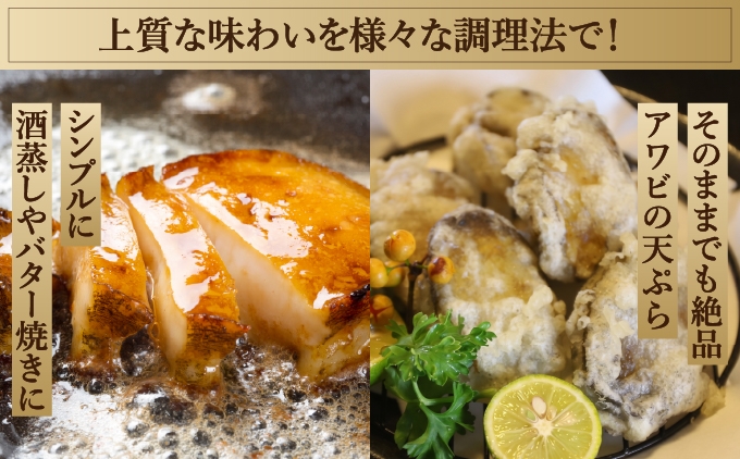 奥尻島産 冷凍 養殖アワビ 《選べる個数》2個入り・3個入り | 鮑  グルメ お取り寄せ | 北海道 奥尻町 送料無料