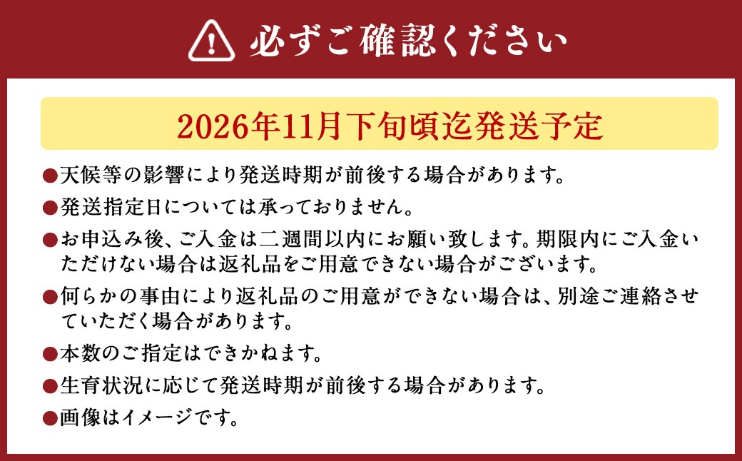 バラの花束 アマダ（赤）（20‐30本）
