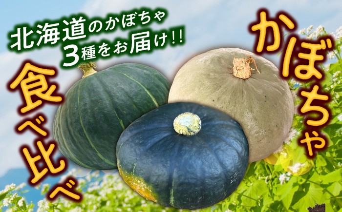 かぼちゃ 訳あり ダークホース とっておき 特濃こふき 北海道産 規格外 セット
