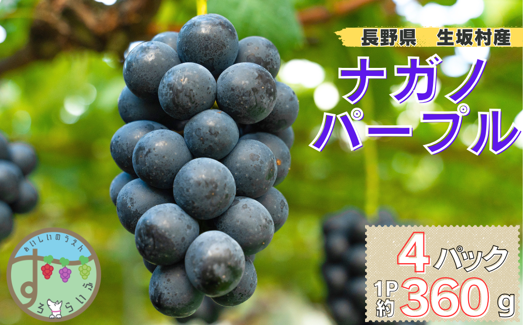 ナガノパープル　4パック（360g×4パック)