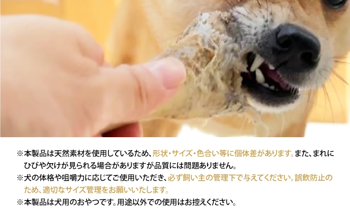犬 いぬ ペット 愛犬 骨ガム 鹿骨 エゾ鹿骨 犬用骨 ガム 噛むおやつ デンタルケア 国産 自然素材 定期便
