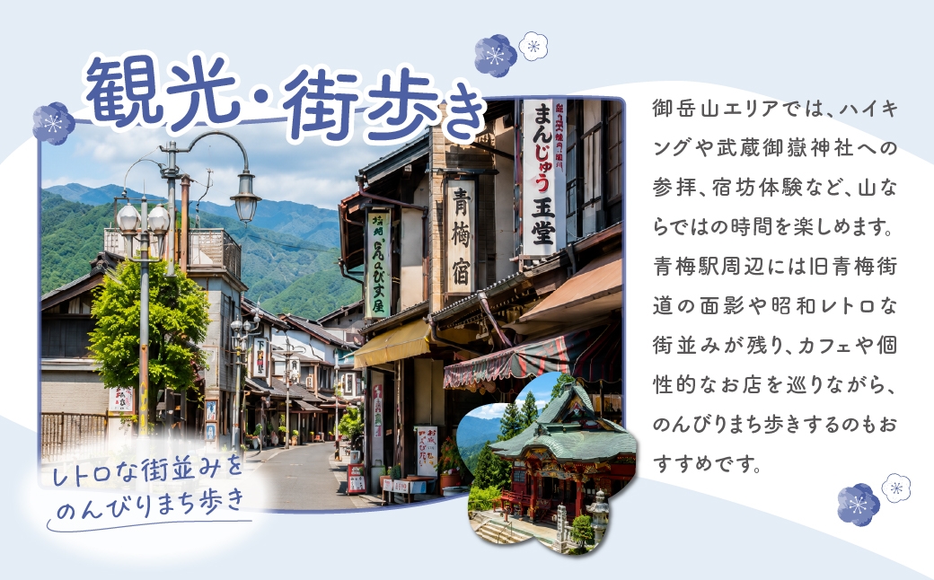 ワインセット「Danke」青梅市産ぶどう 赤白 セット ワイン 日本ワイン 果実酒 フルーツワイン アルコール 飲み比べ 限定8