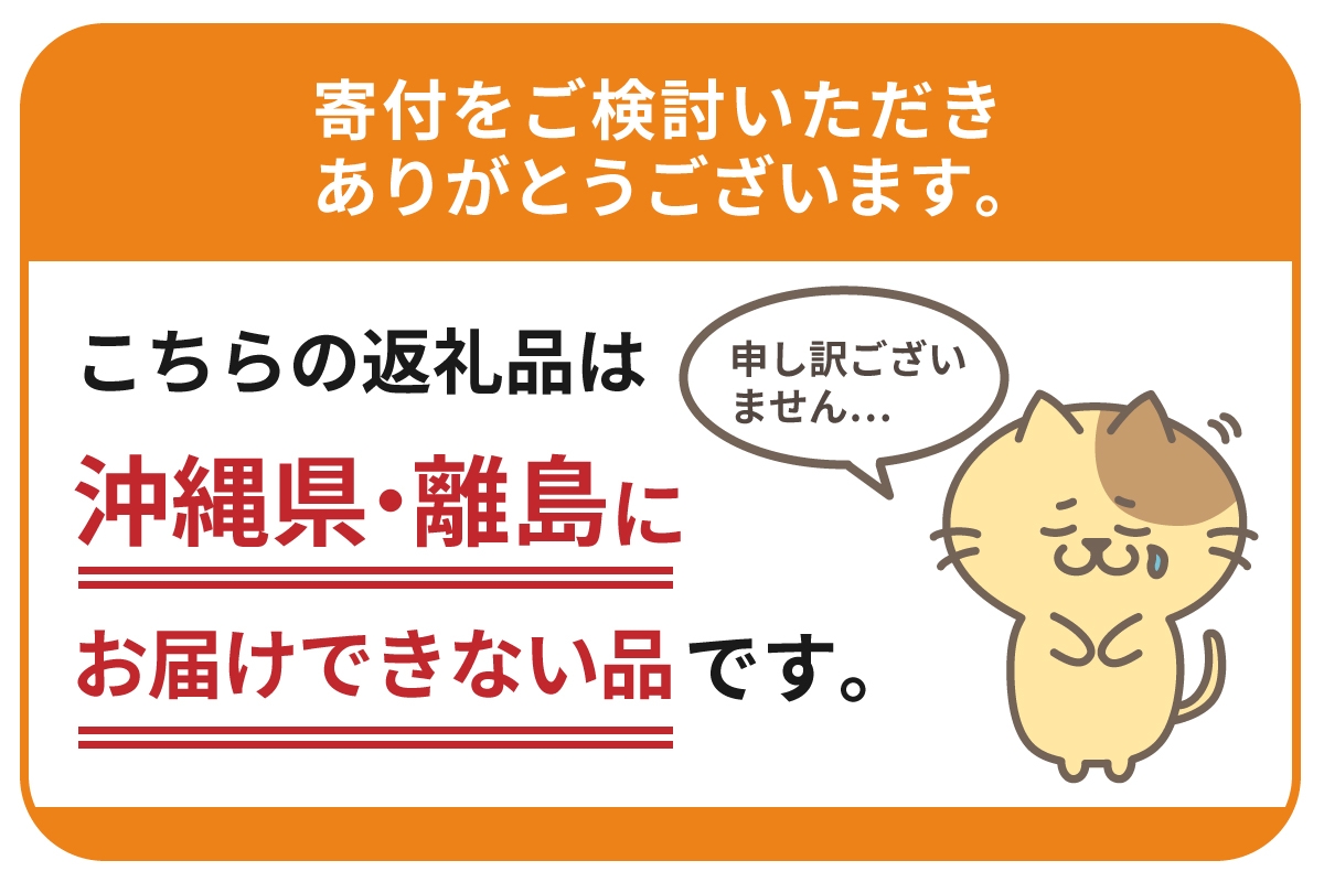 CITIZEN シチズン 腕時計 時計 メンズ レディース 雑貨 日用品 メーカー保証 プレゼント ギフト  新潟県 妙高市
