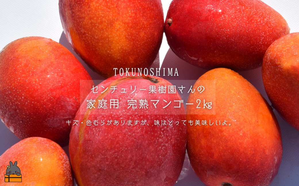 徳之島センチュリー果樹園の勝さんが大切に育てた完熟マンゴー（※家庭用）です。