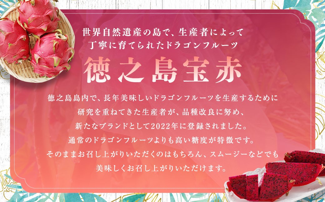 貞岡農園 プレミアム ドラゴンフルーツ 赤玉 1～1.5kg(2玉～3玉)