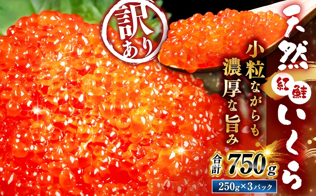 紅鮭いくら醤油漬け750g