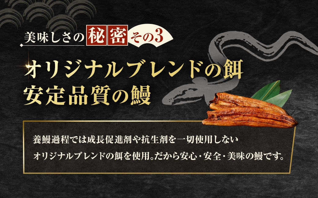めぐみうなぎ蒲焼き8尾
