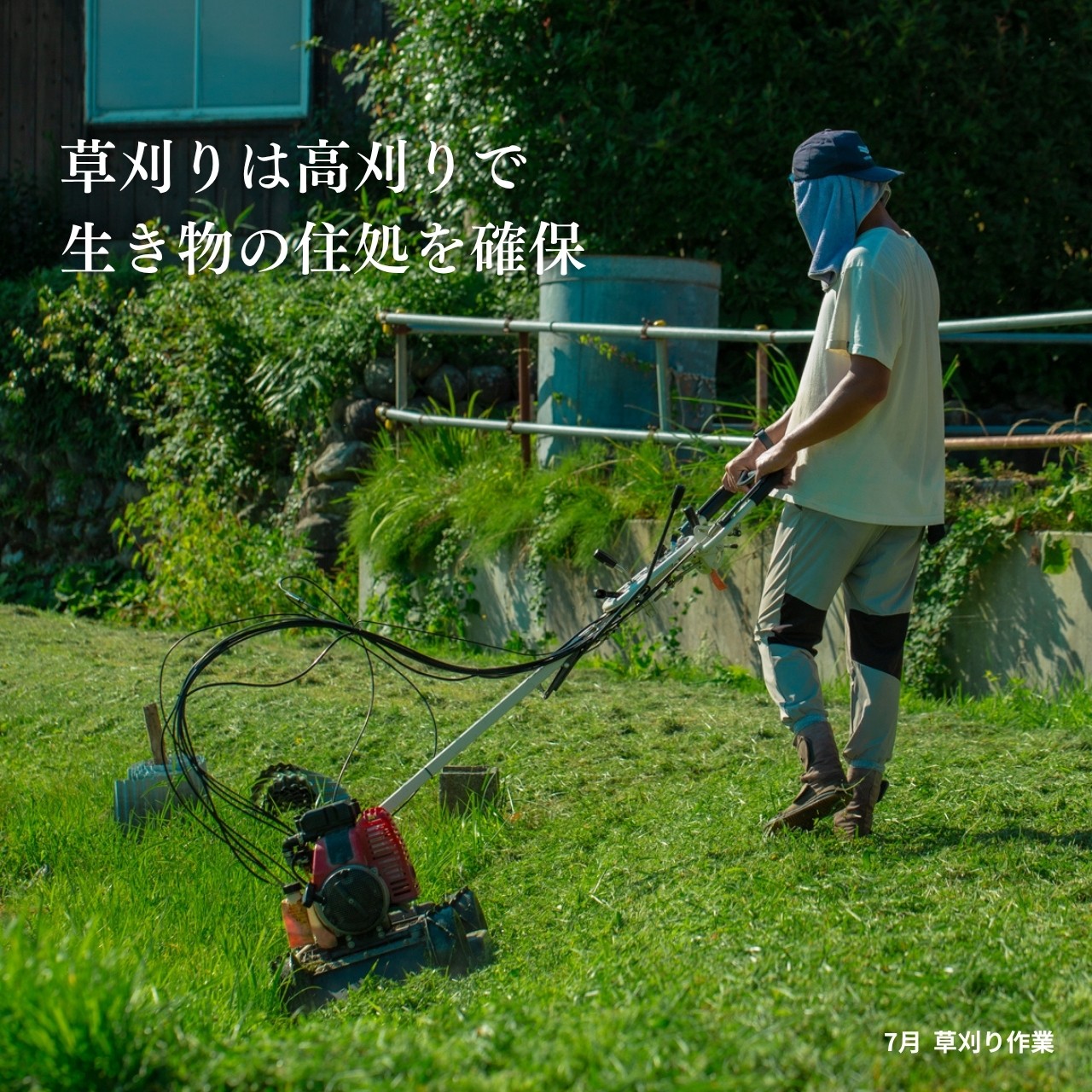 栽培期間中化学肥料・農薬不使用 島内未利用資源や微生物資材をブレンドした土づくり