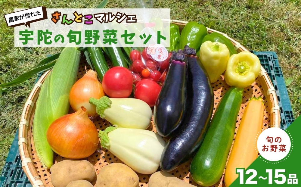 写真はイメージです。