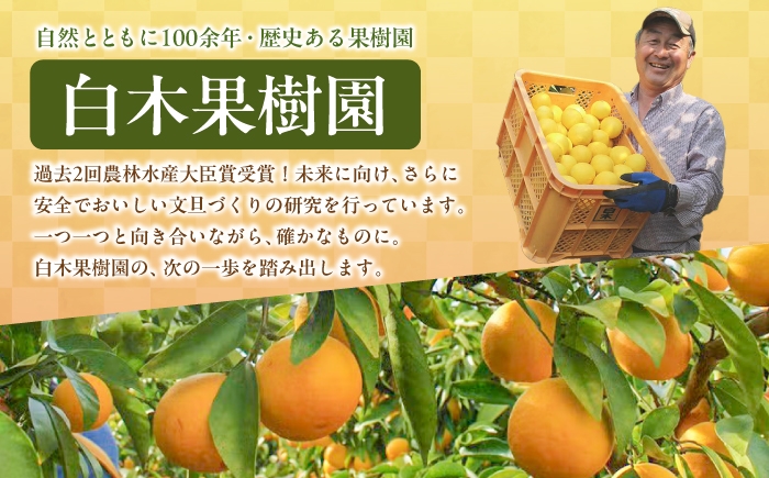 【6回定期便】文旦＆小夏バラエティ定期便 土佐の柑橘フルコース〈水晶文旦・温室文旦・土佐文旦・甘熟とさ小夏・土佐小夏〉/