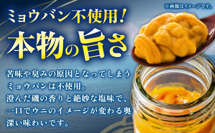 うに ウニ 雲丹 紫うに 紫ウニ 紫雲丹 ムラサキウニ 雲丹丼 ウニ丼