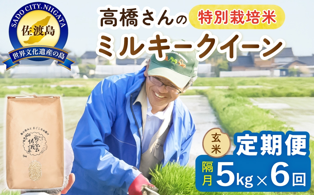 山からの水と海からの風のなかで、ミルキークイーンが実る
