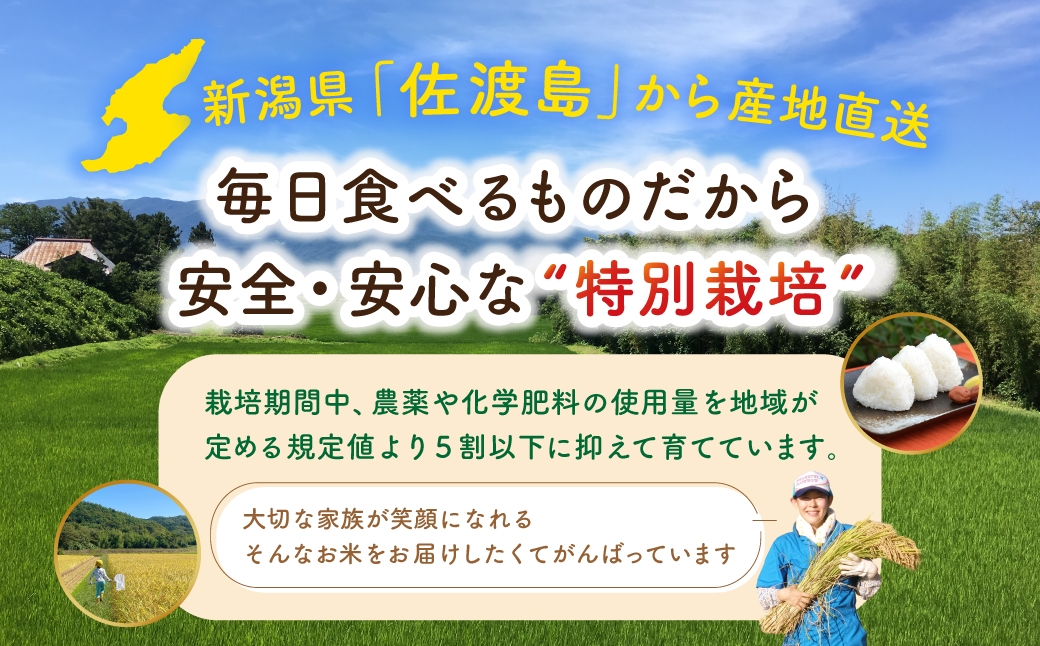 おいしさの基準も満たした米だけが、認証されます