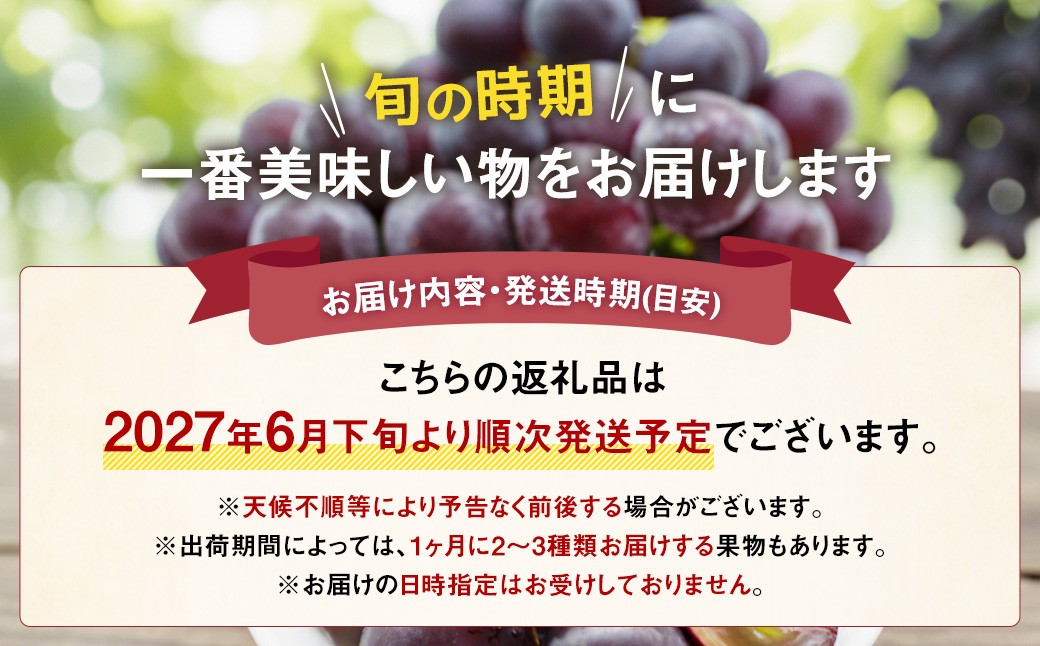 【先行受付】【6回定期便】 フルーツ王国 山梨県産 6種セット