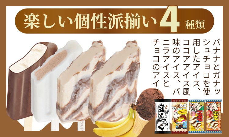竹下製菓 名物アイスバラエティ20本セット