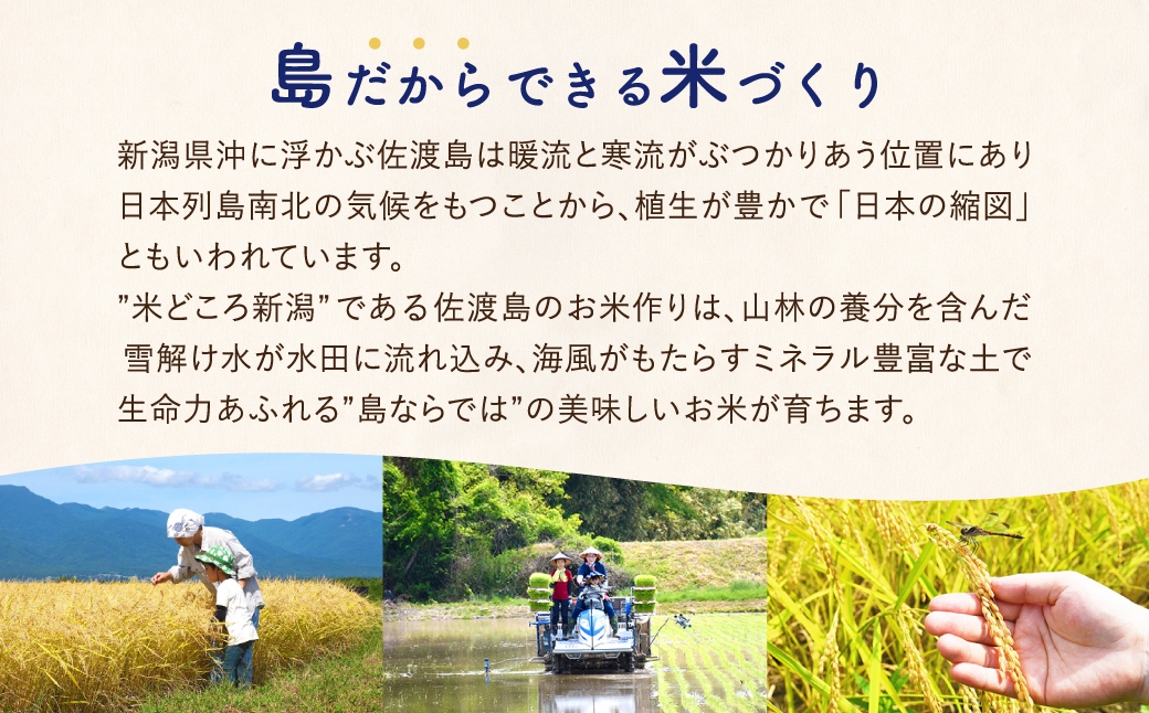 精米したてを毎月、無洗米で送ります