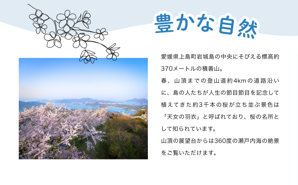 海苔 のり 焼き海苔 板海苔 全形 味付け海苔 味付のり 味付けのり 海苔 海苔 詰め合わせ 8つ切り