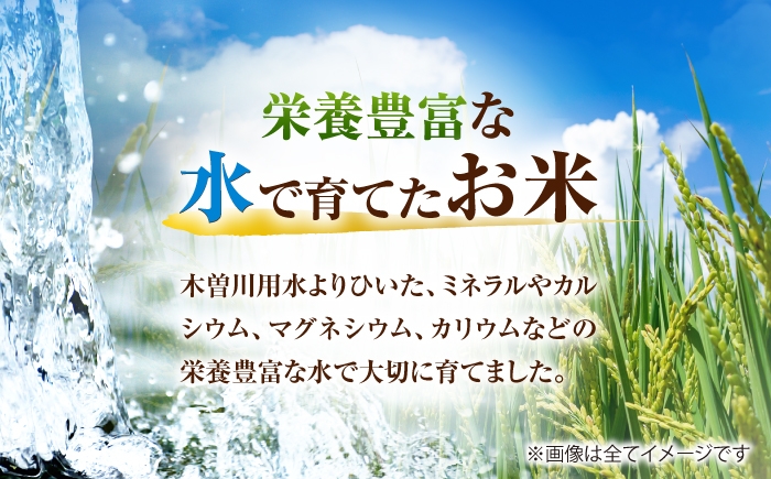 米 お米 5kg 5キロ 定期便 白米 精米 愛知県 国産 コシヒカリ