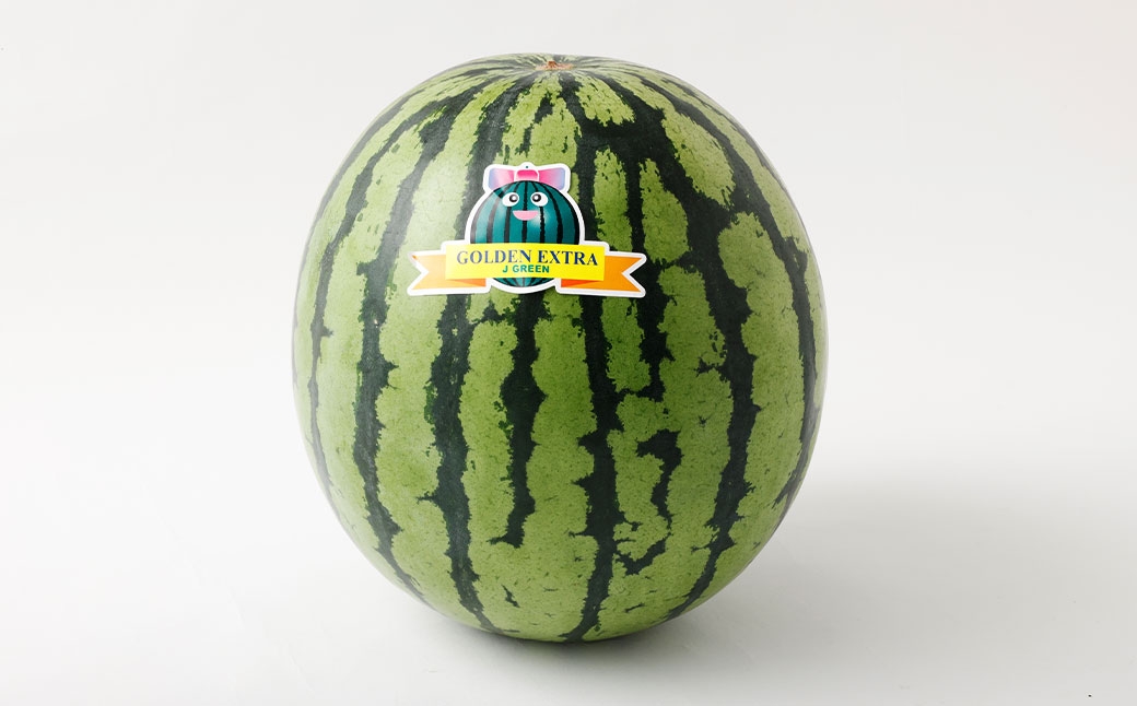熊本うえきスイカ1玉約10kg