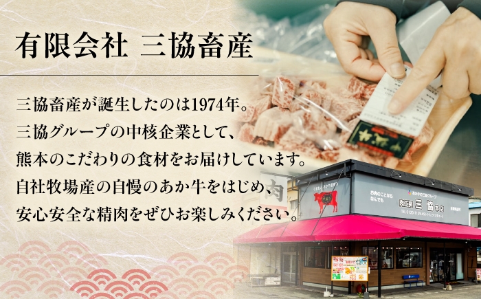 牛肉ハンバーグ あか牛 赤牛 個包装 肉汁 たっぷり くまモンパッケージ 牛肉 肉 冷凍 小分け 惣菜 生タイプ 定期便